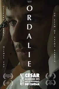 Постер к фильму «Испытание (2017)»