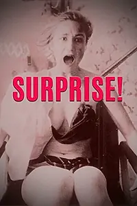 Постер к фильму «Сюрприз! (1995)»