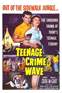 Главный постер фильма «Teen-Age Crime Wave (1955)»
