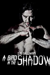 Постер к фильму «A Bird in the Shadow (2017)»