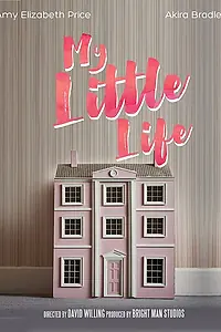 Главный постер фильма «My Little Life (2017)»