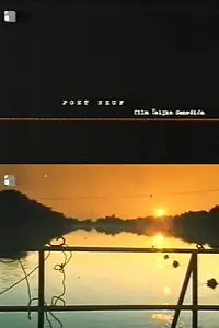 Главный постер фильма «Pont Neuf (1997)»