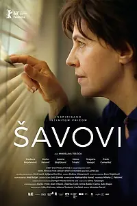 Постер к фильму «Швы (2019)»