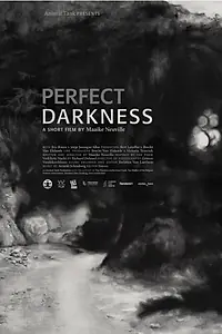 Постер к фильму «Perfect Darkness (2016)»