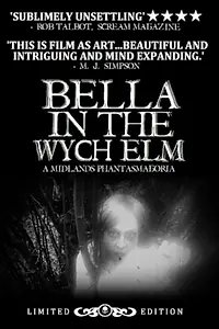 Постер к фильму «Bella in the Wych Elm (2017)»