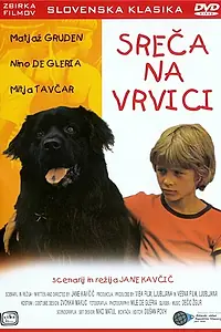 Главный постер фильма «Счастье на поводке (1977)»