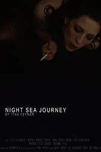 Постер к фильму «Night Sea Journey (2017)»