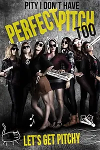 Главный постер фильма «Pity I Don't Have Perfect Pitch Too (2017)»