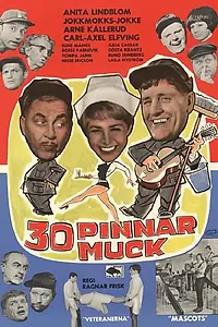 Постер к фильму «30 pinnar muck (1966)»