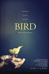 Постер к фильму «Bird (2017)»