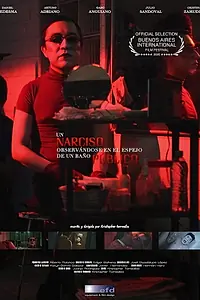 Постер к фильму «Un Narciso observándose en el espejo de un baño público (2017)»