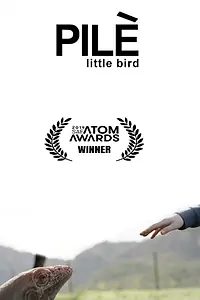 Постер к фильму «Птичка (2017)»