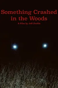 Постер к фильму «Something Crashed in the Woods (2019)»