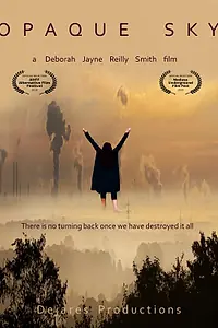 Постер к фильму «Opaque Sky (2017)»