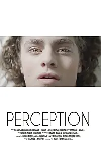 Постер к фильму «Perception (2017)»