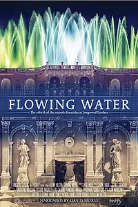 Постер к фильму «Flowing Water (2017)»