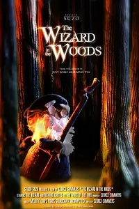 Главный постер мультфильма «The Wizard in the Woods (2016)»