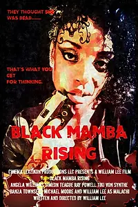 Постер к фильму «Black Mamba (2019)»