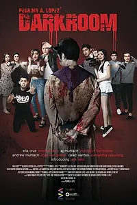 Главный постер фильма «Тёмная комната (2017)»