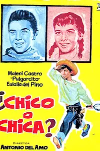 Постер к фильму «Мальчик или девочка? (1962)»