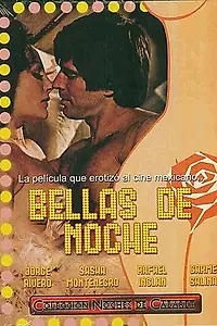 Постер к фильму «Путаны: Ночные красавицы, часть II (1977)»