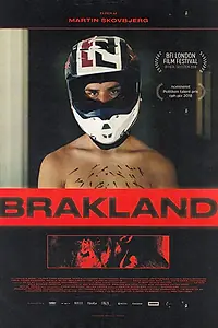 Главный постер фильма «Палки и камни (2018)»
