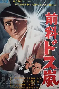 Постер к фильму «Бывший заключённый: Штормовой меч (1969)»