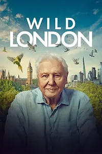 Постер к фильму «Дикий Лондон (2026)»