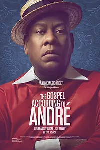Постер к фильму «The Gospel According to André (2017)»