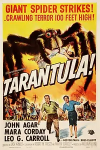 Главный постер фильма «Тарантул (1955)»