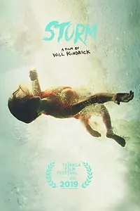 Постер к фильму «Шторм (2019)»