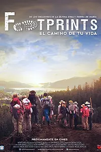 Главный постер фильма «Footprints, the Path of Your Life (2016)»