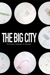 Главный постер фильма «The Big City (2017)»