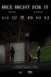 Постер к фильму «Nice Night for It (2017)»