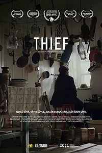Постер к фильму «Tolvaj (2016)»