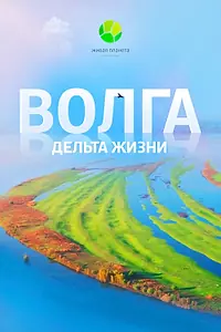 Главный постер фильма «Волга: Дельта жизни (2024)»