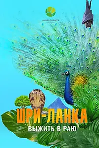 Главный постер фильма «Шри-Ланка: Выжить в раю (2025)»