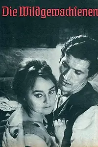 Постер к фильму «Самородки (1963)»