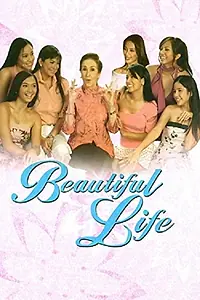 Главный постер фильма «Beautiful Life (2004)»