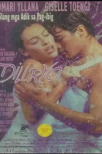 Постер к фильму «Diliryo (1997)»