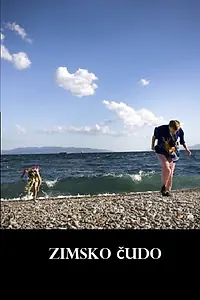 Постер к фильму «Zimsko cudo (2012)»