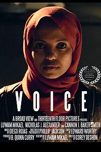 Постер к фильму «Voice (2017)»