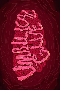 Постер к фильму «Umbilical Glue (2017)»
