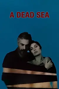 Постер к фильму «Ölü bir deniz (1989)»