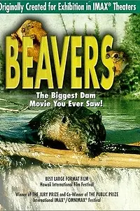 Постер к фильму «Beavers (1988)»