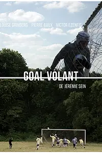 Постер к фильму «Goal volant (2017)»