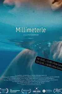 Постер к фильму «Millimeterle (2016)»