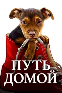 Главный постер фильма «Путь домой (2019)»