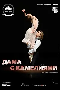 Постер к фильму «Дама с камелиями (2015)»
