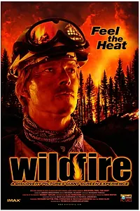 Главный постер фильма «Wildfire: Feel the Heat (1999)»